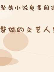 赘婿的文艺人生
