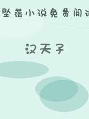 汉天子