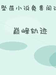 巅峰轨迹