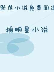 操明星小说