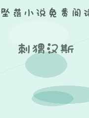 刺猬汉斯