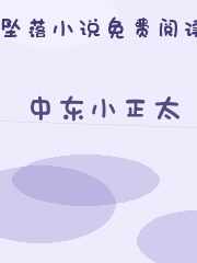 中东小正太