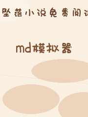 md模拟器